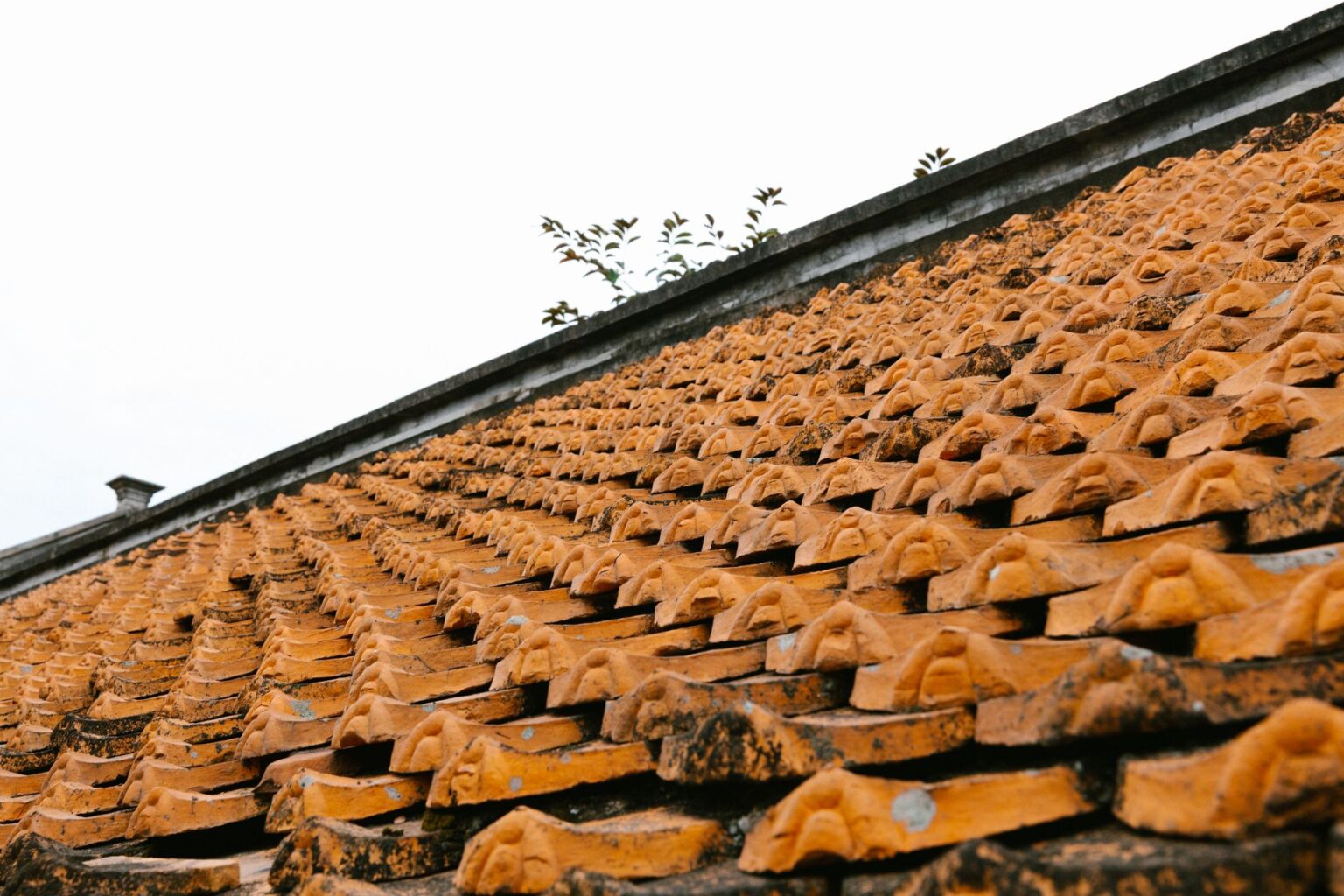 Dachówka ceramiczna czy betonowa? Jak wybrać bez zgadywania dachówka ceramiczna czy betonowa